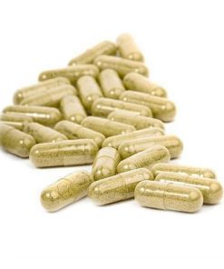 Buy Golden Teacher Capsules
